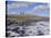 Dunstanburgh Castle and the Coast, Northumbria (Northumberland), England, UK, Europe-Charles Bowman-Stretched Canvas