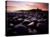 Dunstanburgh Castle at Sunrise from Boulderfield at Embleton Bay, Northumberland (Northumbria)-Lee Frost-Stretched Canvas