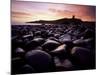 Dunstanburgh Castle at Sunrise from Boulderfield at Embleton Bay, Northumberland (Northumbria)-Lee Frost-Mounted Photographic Print