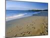 Dunstanburgh Castle (National Trust) from Embleton Bay, Northumberland, England-Lee Frost-Mounted Photographic Print