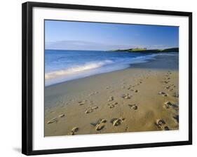 Dunstanburgh Castle (National Trust) from Embleton Bay, Northumberland, England-Lee Frost-Framed Photographic Print