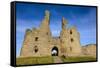 Dunstanburgh Castle, Northumberland, England, United Kingdom, Europe-Gary Cook-Framed Stretched Canvas