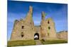 Dunstanburgh Castle, Northumberland, England, United Kingdom, Europe-Gary Cook-Mounted Photographic Print