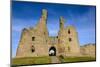 Dunstanburgh Castle, Northumberland, England, United Kingdom, Europe-Gary Cook-Mounted Photographic Print