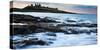 Dunstanburgh Castle, Northumberland, England, United Kingdom, Europe-John Alexander-Stretched Canvas