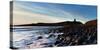 Dunstanburgh Castle, Northumberland, England, United Kingdom, Europe-John Alexander-Stretched Canvas