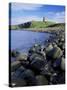 Dunstanburgh Castle, Northumberland, England, United Kingdom-Roy Rainford-Stretched Canvas