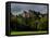 Dunster Castle, Somerset, England, United Kingdom, Europe-Charles Bowman-Framed Stretched Canvas