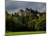 Dunster Castle, Somerset, England, United Kingdom, Europe-Charles Bowman-Mounted Photographic Print