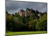 Dunster Castle, Somerset, England, United Kingdom, Europe-Charles Bowman-Mounted Photographic Print