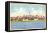 Dunster House, Harvard, Cambridge, Mass.-null-Framed Stretched Canvas