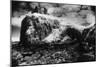 Duntulm Castle, Isle of Skye, Scotland-Simon Marsden-Mounted Giclee Print