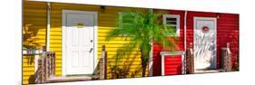 Duo Colored Houses - Florida-Philippe Hugonnard-Mounted Premium Photographic Print