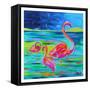 Duo Flamingos-Anne Ormsby-Framed Stretched Canvas