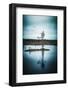 Duo Flight-Philippe Sainte-Laudy-Framed Photographic Print