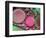 Duo Flow-Heidi Westum-Framed Photographic Print