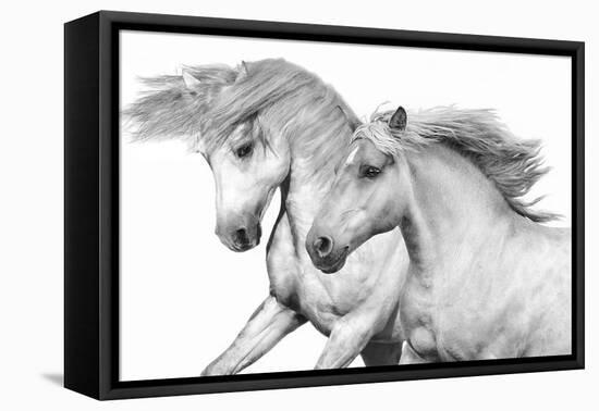 Duo I-Samantha Carter-Framed Stretched Canvas