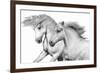 Duo I-Samantha Carter-Framed Art Print