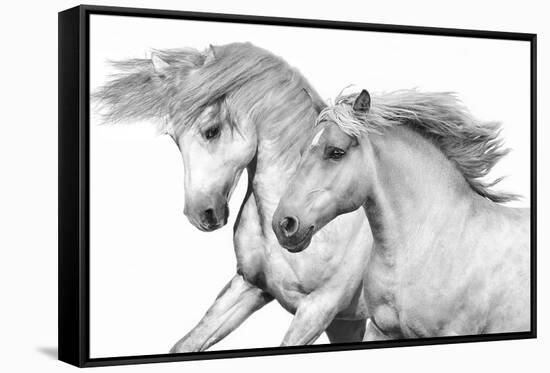 Duo I-Samantha Carter-Framed Stretched Canvas