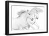 Duo II-Samantha Carter-Framed Art Print