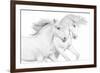 Duo II-Samantha Carter-Framed Art Print