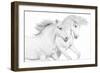 Duo II-Samantha Carter-Framed Premium Giclee Print