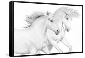 Duo II-Samantha Carter-Framed Stretched Canvas