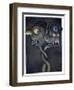 Duo Nod-Wayne Anderson-Framed Giclee Print