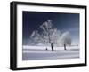 Duo White-Philippe Sainte-Laudy-Framed Photographic Print