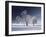 Duo White-Philippe Sainte-Laudy-Framed Photographic Print