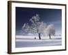 Duo White-Philippe Sainte-Laudy-Framed Photographic Print