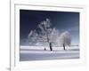 Duo White-Philippe Sainte-Laudy-Framed Photographic Print