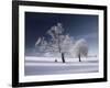 Duo White-Philippe Sainte-Laudy-Framed Photographic Print