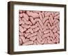 Duodenum Villi from a Rat-Micro Discovery-Framed Photographic Print