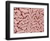 Duodenum Villi from a Rat-Micro Discovery-Framed Photographic Print