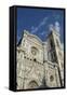 Duomo (Cathedral) and Campanile Di Giotto-Robert Harding-Framed Stretched Canvas