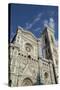 Duomo (Cathedral) and Campanile Di Giotto-Robert Harding-Stretched Canvas