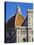 Duomo (Cathedral), Florence (Firenze), UNESCO World Heritage Site, Tuscany, Italy, Europe-Nico Tondini-Stretched Canvas