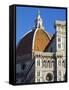 Duomo (Cathedral), Florence (Firenze), UNESCO World Heritage Site, Tuscany, Italy, Europe-Nico Tondini-Framed Stretched Canvas