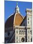 Duomo (Cathedral), Florence (Firenze), UNESCO World Heritage Site, Tuscany, Italy, Europe-Nico Tondini-Mounted Photographic Print