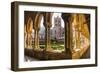 Duomo Di Monreale at Sunset (Monreale Cathedral)-Matthew Williams-Ellis-Framed Photographic Print