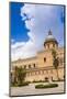 Duomo Di Palermo (Palermo Cathedral), Palermo, Sicily, Italy, Europe-Matthew Williams-Ellis-Mounted Photographic Print