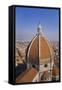 Duomo, Florence, Italy-Roy Rainford-Framed Stretched Canvas