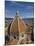 Duomo, Florence, Tuscany, Italy-Doug Pearson-Mounted Photographic Print