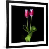 Duotone Tulips-Magda Indigo-Framed Photographic Print