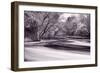 DuPage River Forest BW-Steve Gadomski-Framed Photographic Print