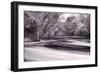 DuPage River Forest BW-Steve Gadomski-Framed Photographic Print