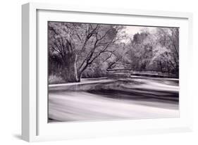 DuPage River Forest BW-Steve Gadomski-Framed Photographic Print