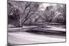 DuPage River Forest BW-Steve Gadomski-Mounted Photographic Print