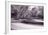 DuPage River Forest BW-Steve Gadomski-Framed Photographic Print